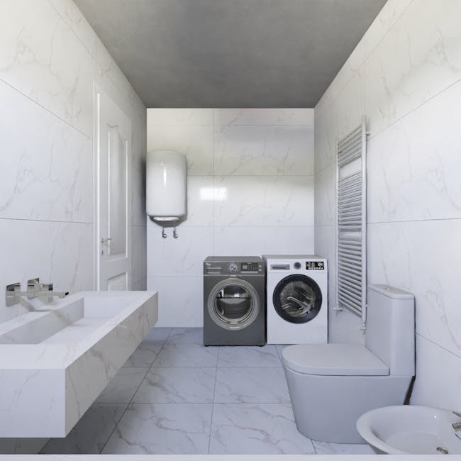 Bidet mixer