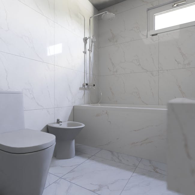 PLUVIALIX rain shower