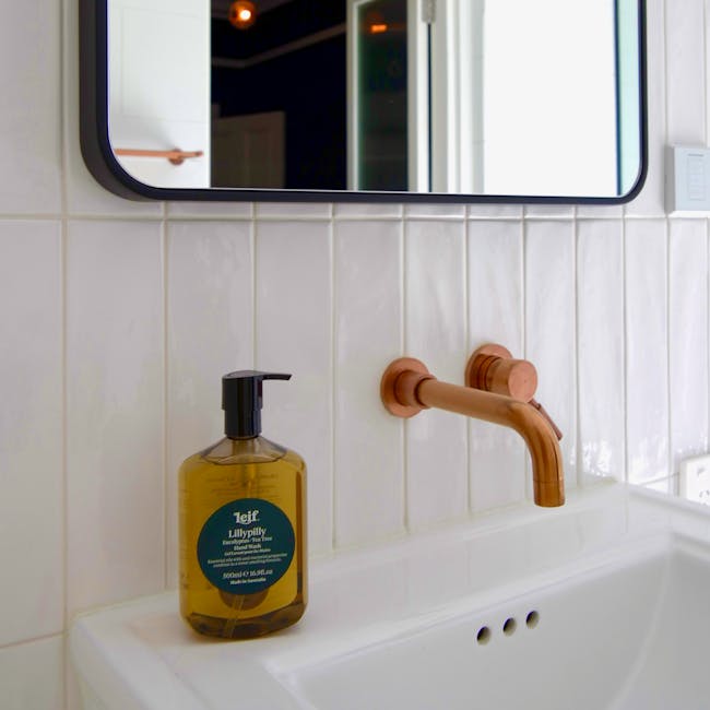 Accessible basin 60